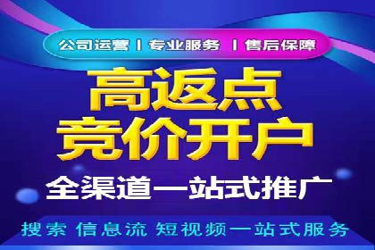某企业通过SEO和SEM双管齐下实现业绩飞跃的案例